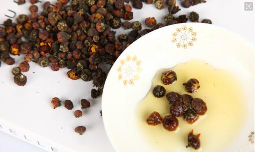 罕见的高山雪莲雪菊,四川丹巴雪菊