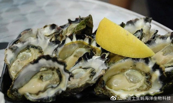 宵夜吃生蚝真实视频,宵夜湛江生蚝生吃