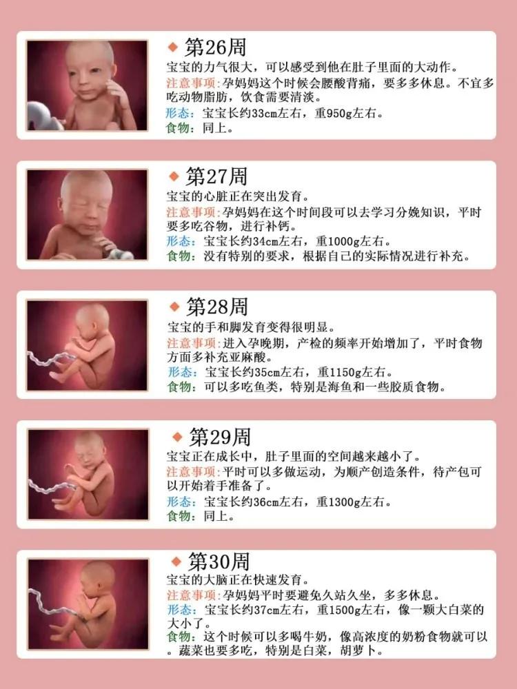 孕期营养补充,孕期营养补充剂排行榜