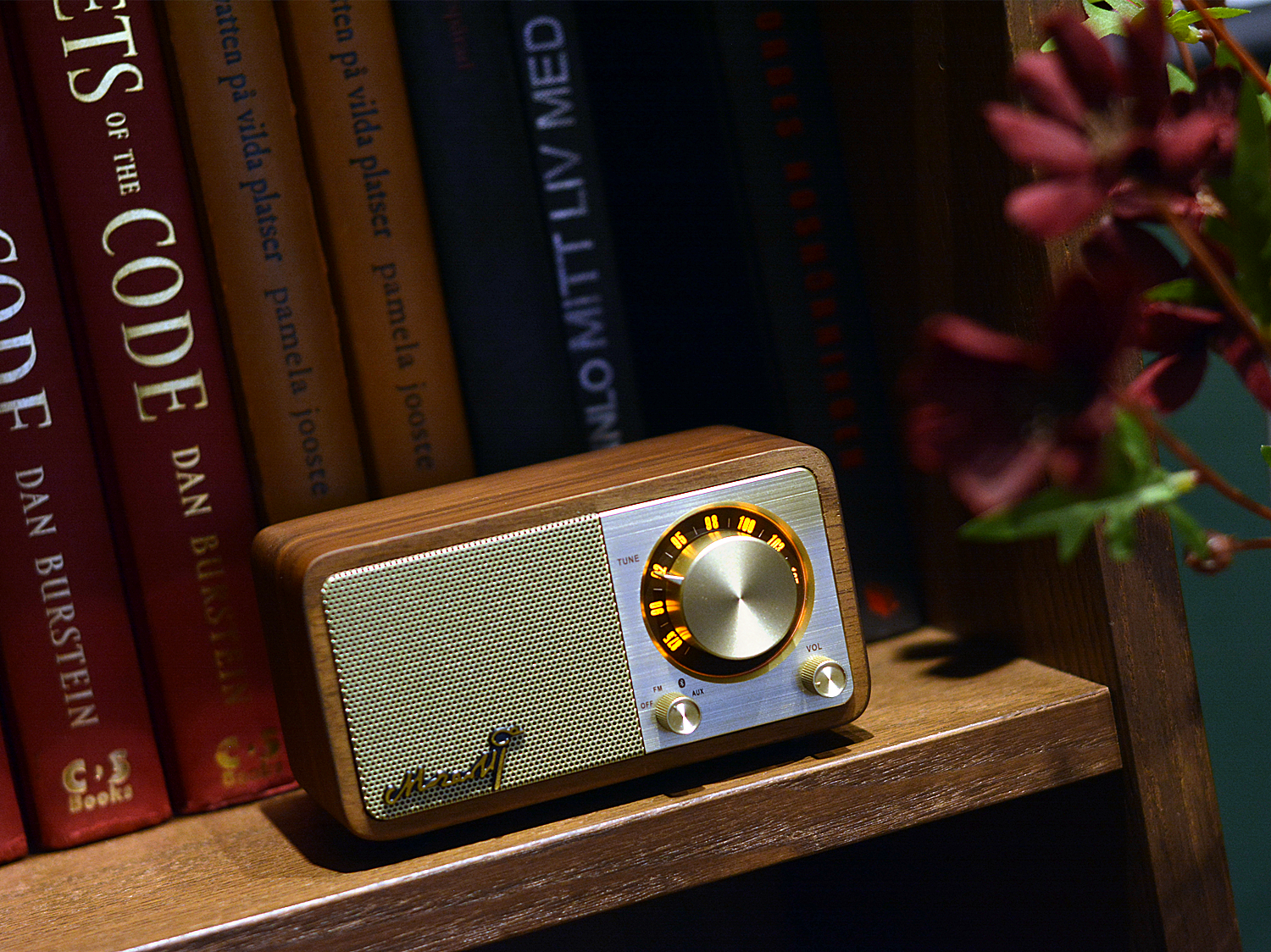 大功率蓝牙收音机,最新款小收音机