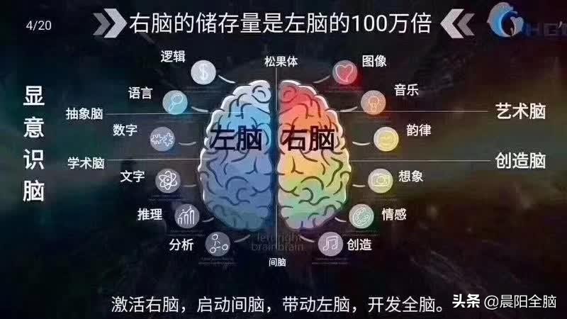 全脑开发脑屏成像课程,全脑开发脑屏成像训练