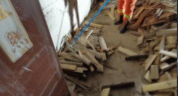 蛇出没!别怕,有“蓝朋友”保护你!