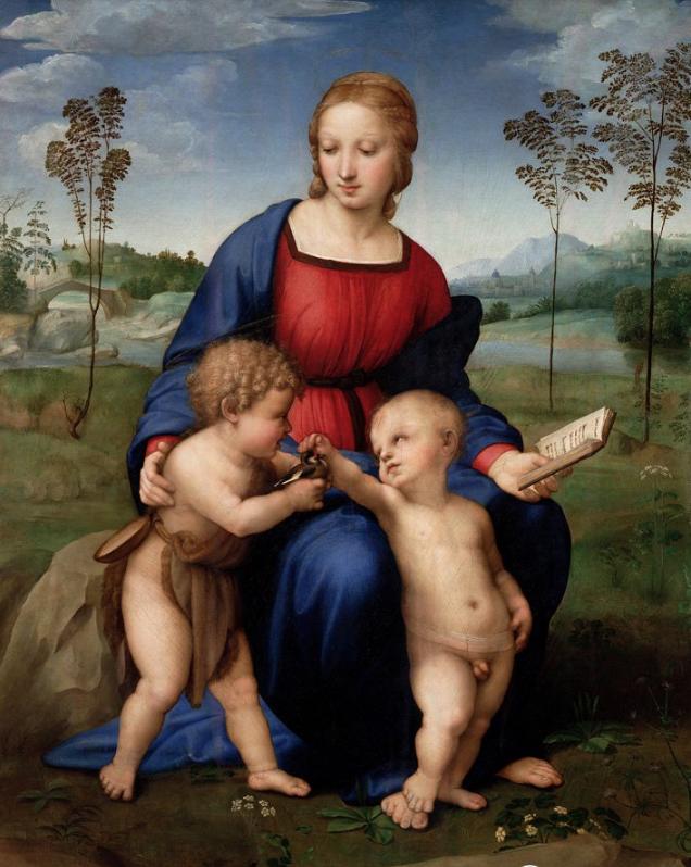 一种来自非洲的野鸟,被人工繁育出数百个品种,惊艳了整个世界