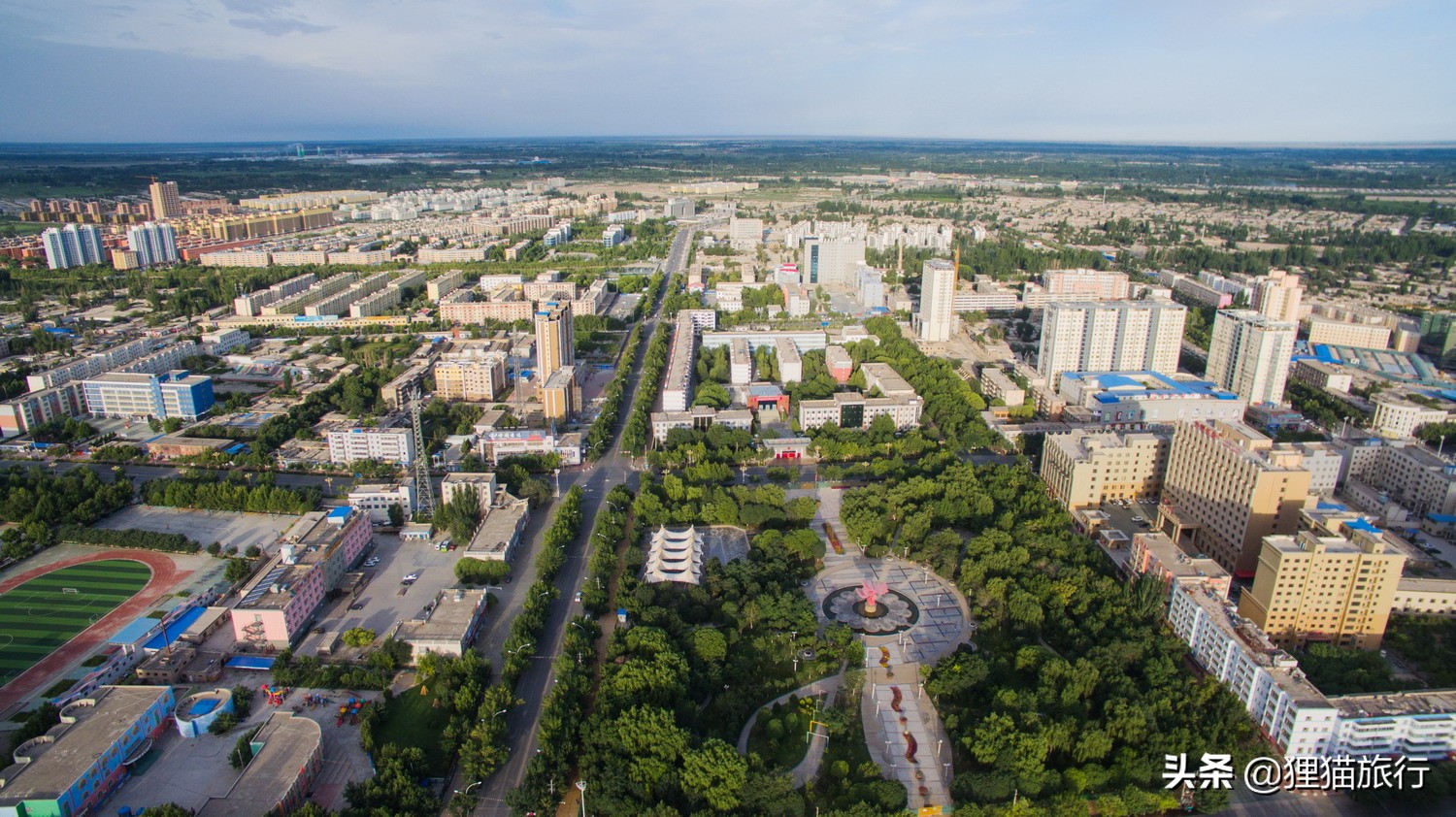 沙雅胡杨林自然保护区,新疆沙雅胡杨林介绍