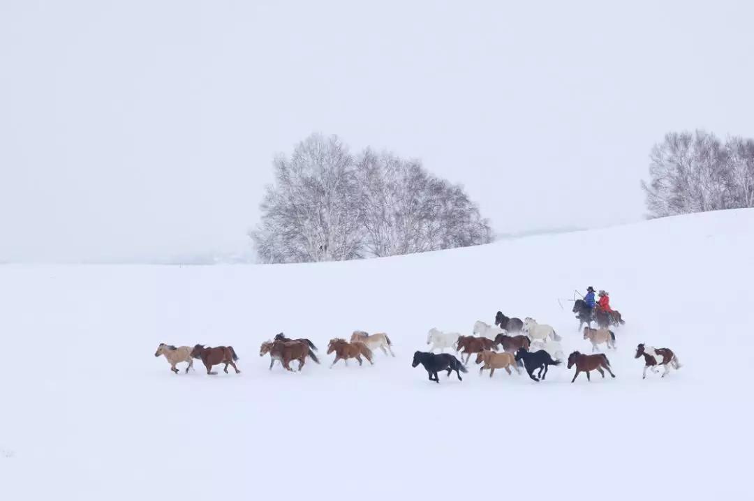 冬日的坝美有多美,冬日的坝上草原