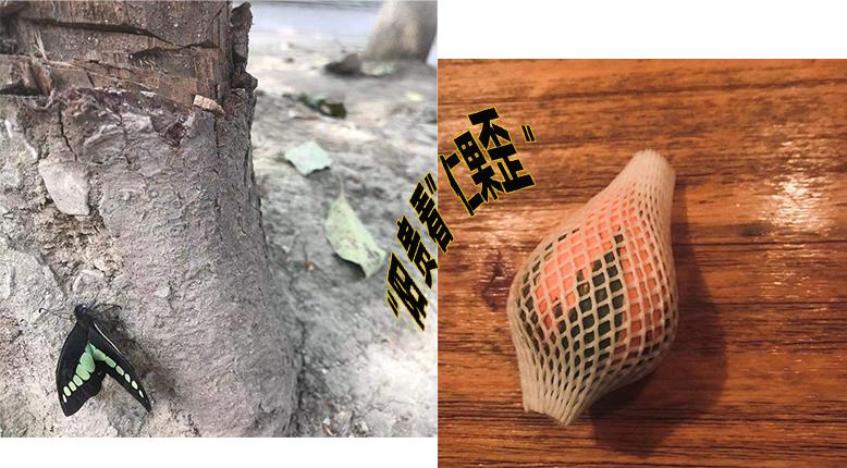 生活在贵阳的“老外”是怎么看待贵阳的?