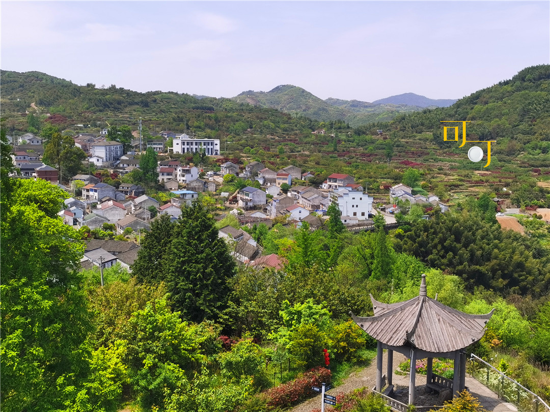 余姚四明山农家乐跟团游有吗,余姚市四明山高山布依农家乐