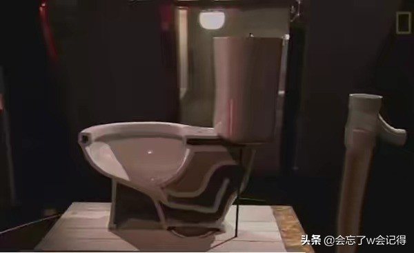 老鼠是怎么从下水道钻上来的,老鼠在下水道怎么爬上来的