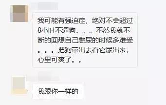 遛狗最讨厌的人,为什么我特别讨厌狗叫