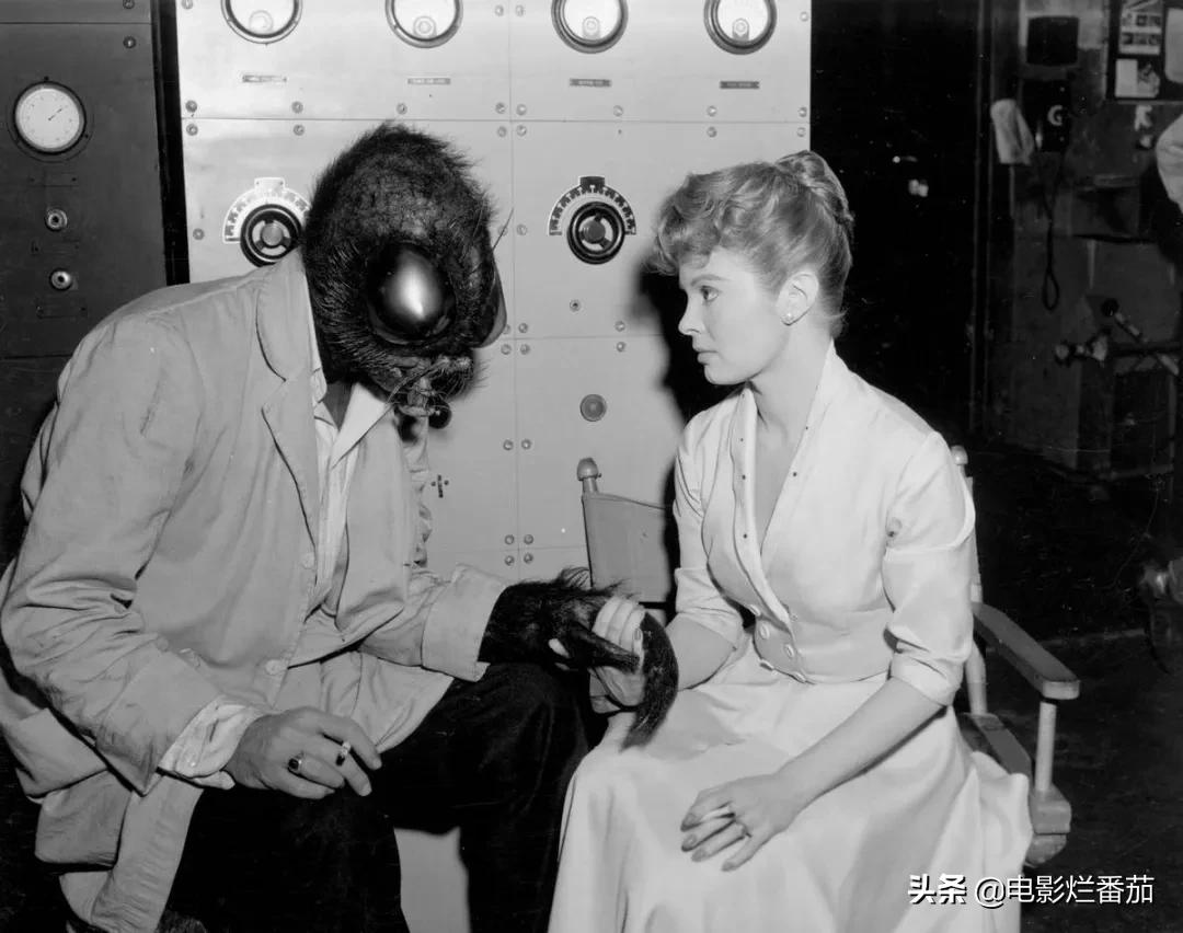 36年前的鬼片,36年前的悬疑惊悚电影