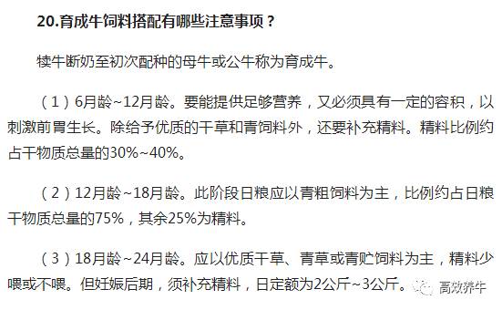 养牛老汉总结的30条养牛经验（1）