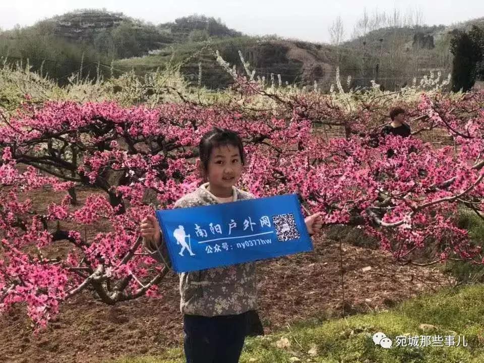 南阳老徐,河南南阳老徐最新视频