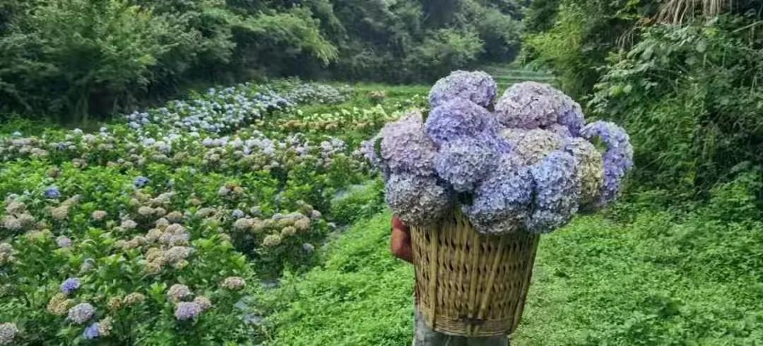 四年级我得到了什么的作文,四年级上册我得到了什么300字