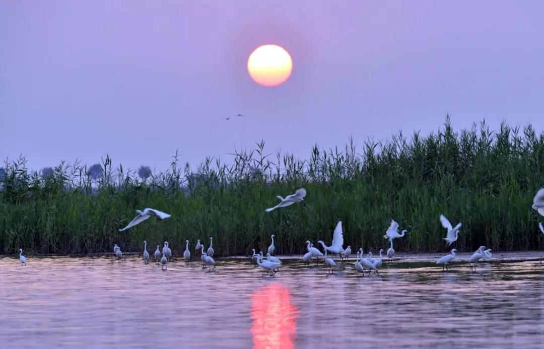 「992|动听河北」这片湖被称作“东亚蓝宝石”，竟是禹王治水留下的“禹迹”