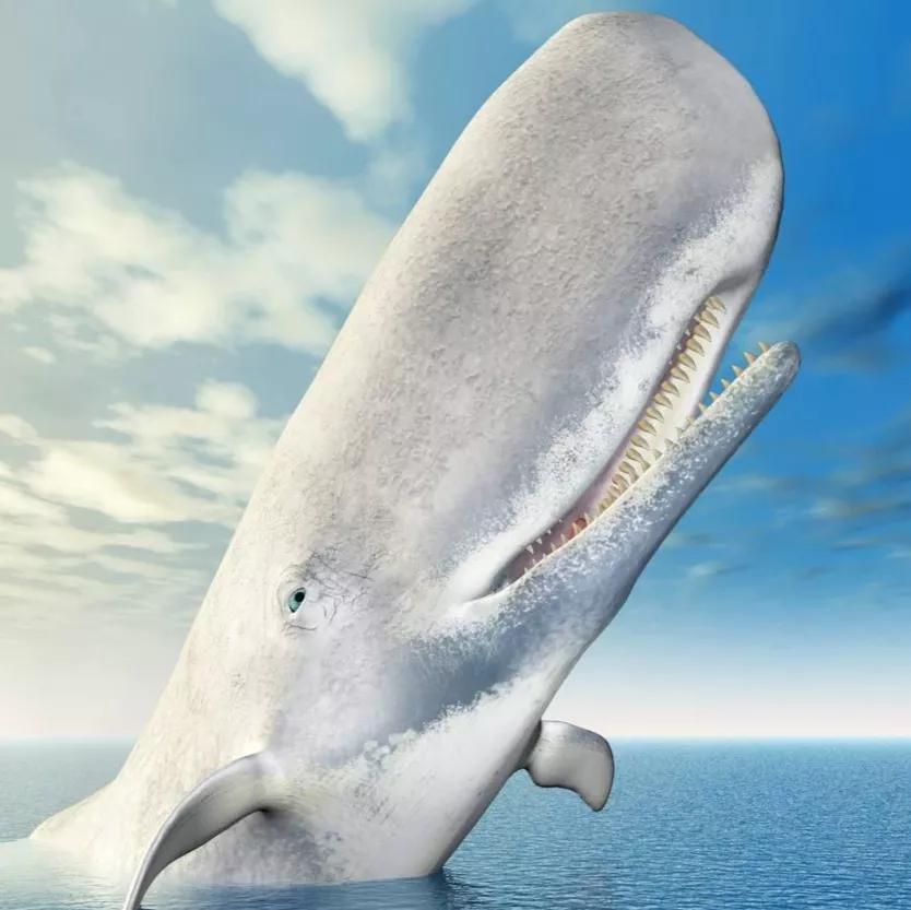 罕见的龙涎香,龙涎香能一直很香吗