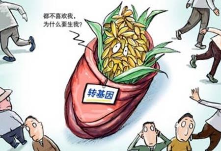 如何避免转基因危害,转基因农作物的十大谣言