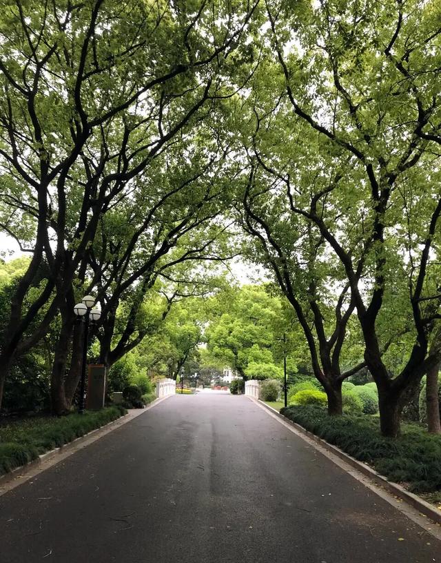 有时候使人疲惫的不是远方的高山,让人疲惫的不是远山而是鞋里的沙
