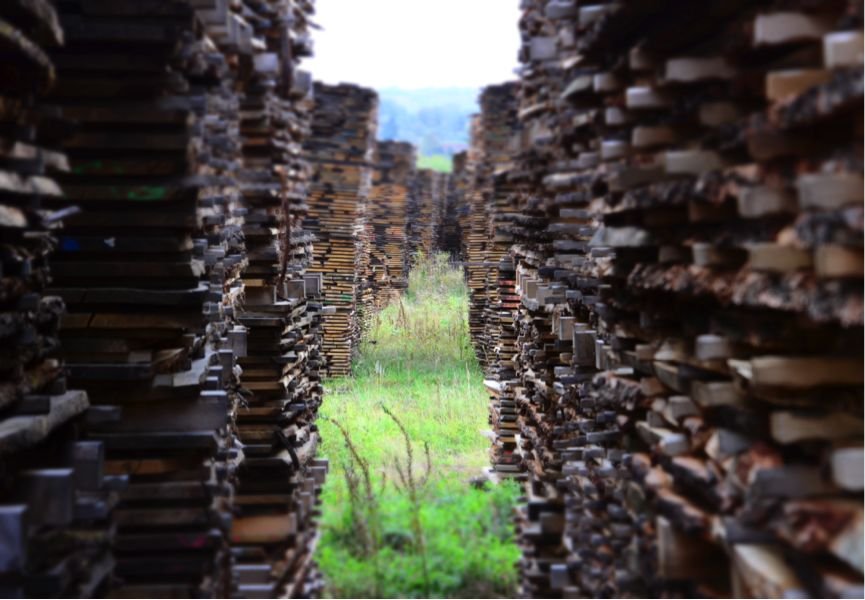 脚踏实地引德艺,步步生莲益万家——访大连德艺建材有限公司