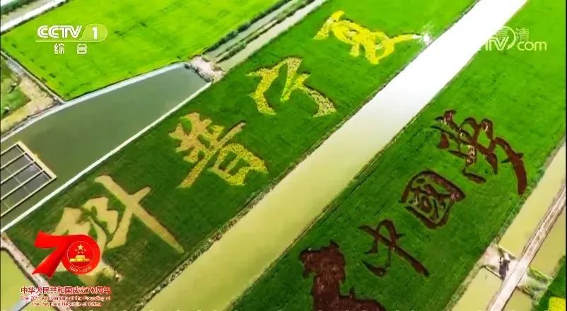 中国用了占世界多少的耕地,我国用占世界百分之几的耕地