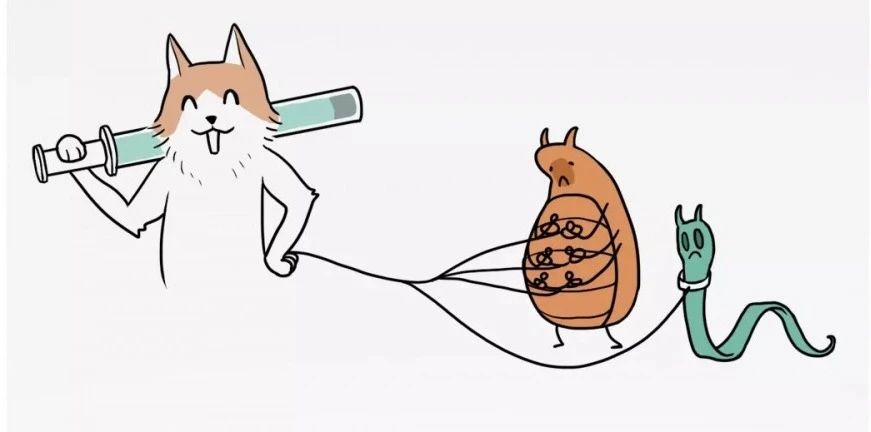 菊部周边长了个肉疙瘩,菊部旁边长了个肉疙瘩