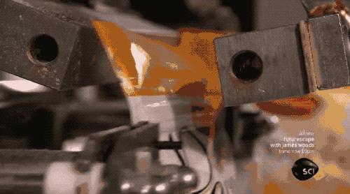 适合新手铲屎官养的狗粮,铲屎官们推荐一款便宜好狗粮