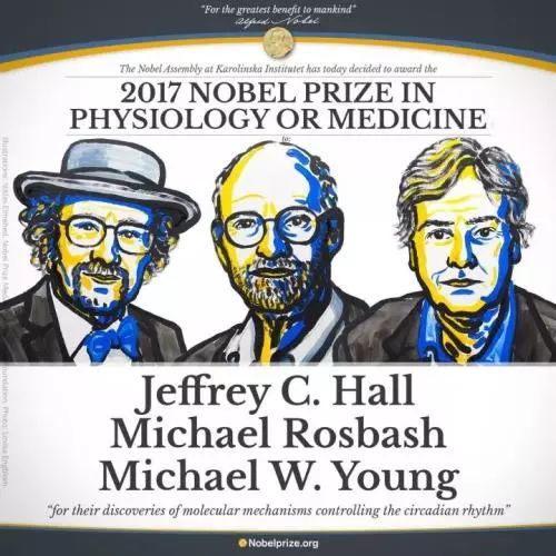 全世界平均四个人里面就有一个人有失眠！华西专家告诉你睡不着该怎么办