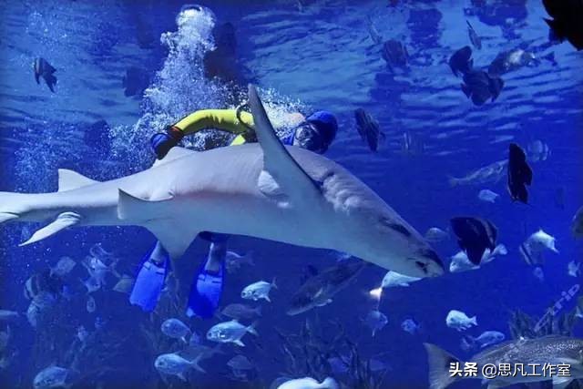 杭州富阳旅游攻略必去景点排名,杭州周边春天最值得去的旅游景点