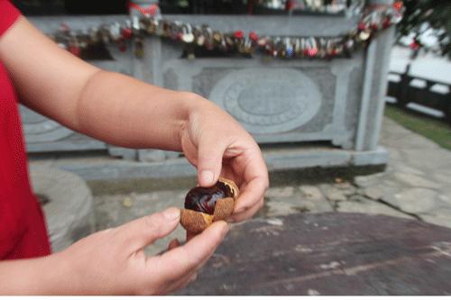 栗子，也能玩？这算啥，看看我玩的