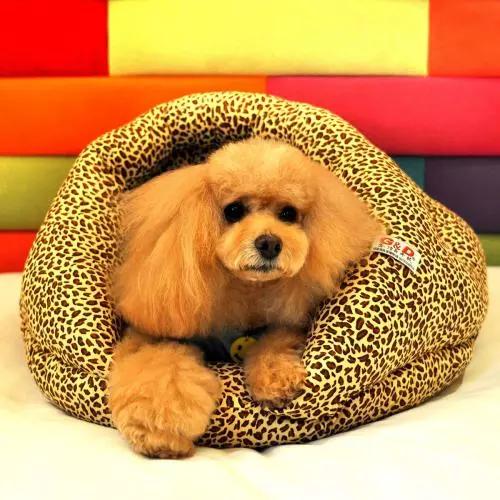 去除脚臭的日本喷雾,去脚皮臭喷雾推荐