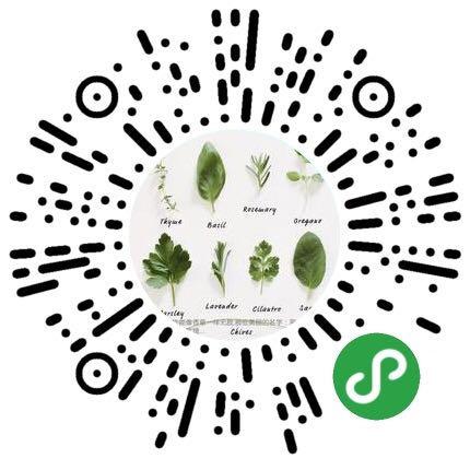 香草花园(1)|享受采摘薄荷和使用新鲜香草来调味乐趣