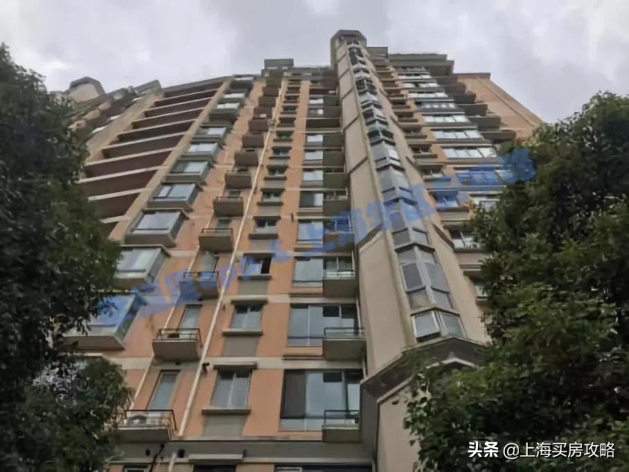 爱建园小区最好的楼盘,上海碧云爱建园复式