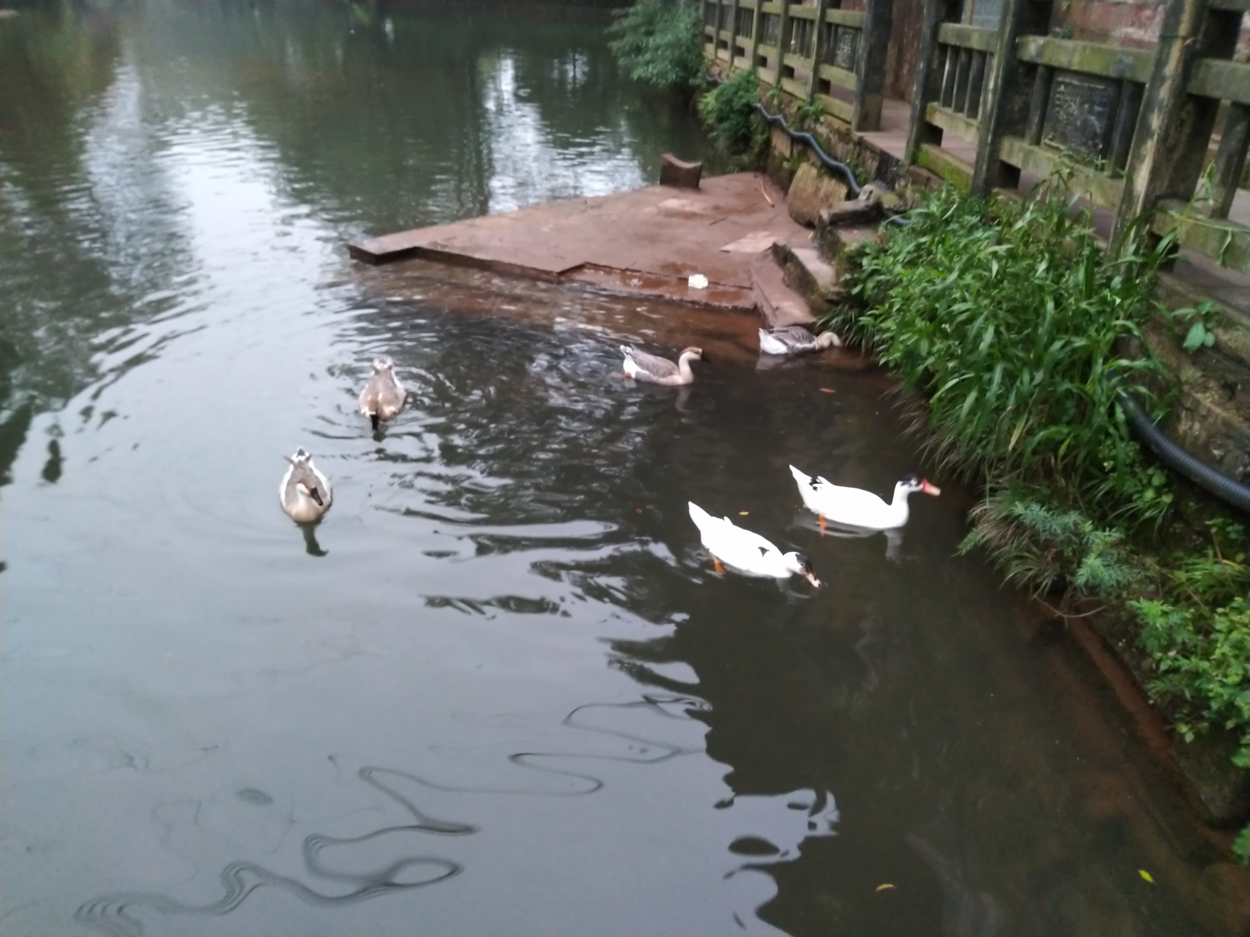 雅安上里古镇民宿,雅安上里古镇写生