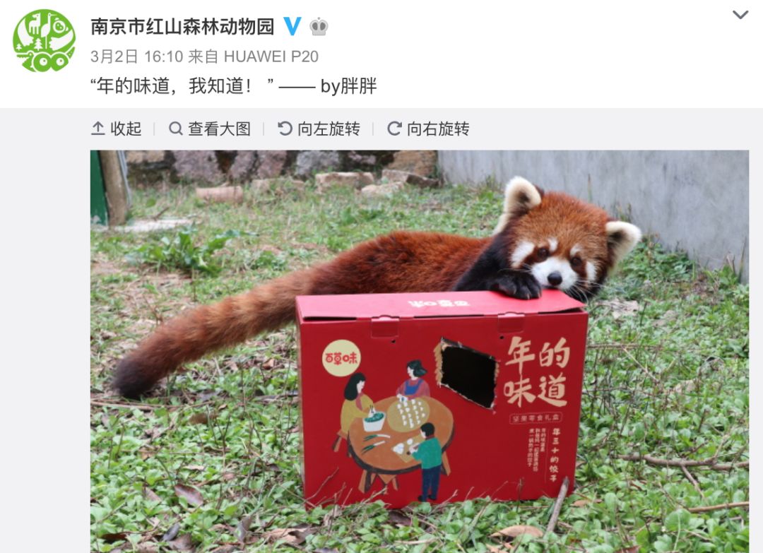 推荐最好玩的乐园,有没有值得玩的地方推荐一下