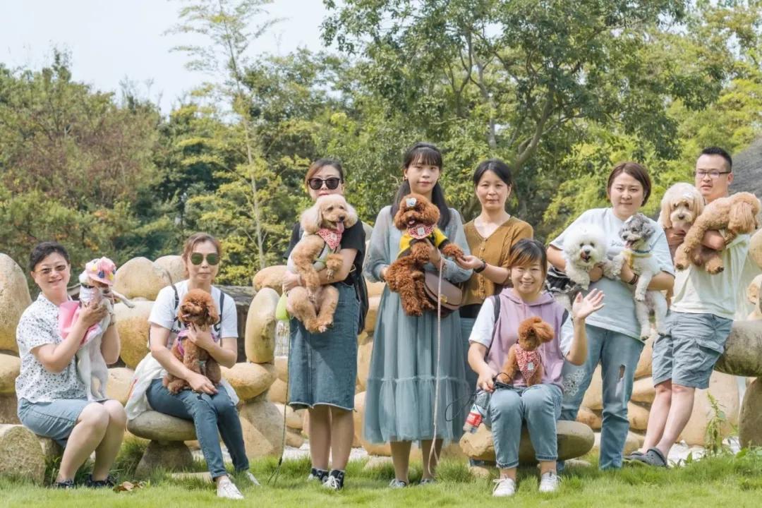 带着自己的宠物去旅行,主人带着狗狗去全世界旅行