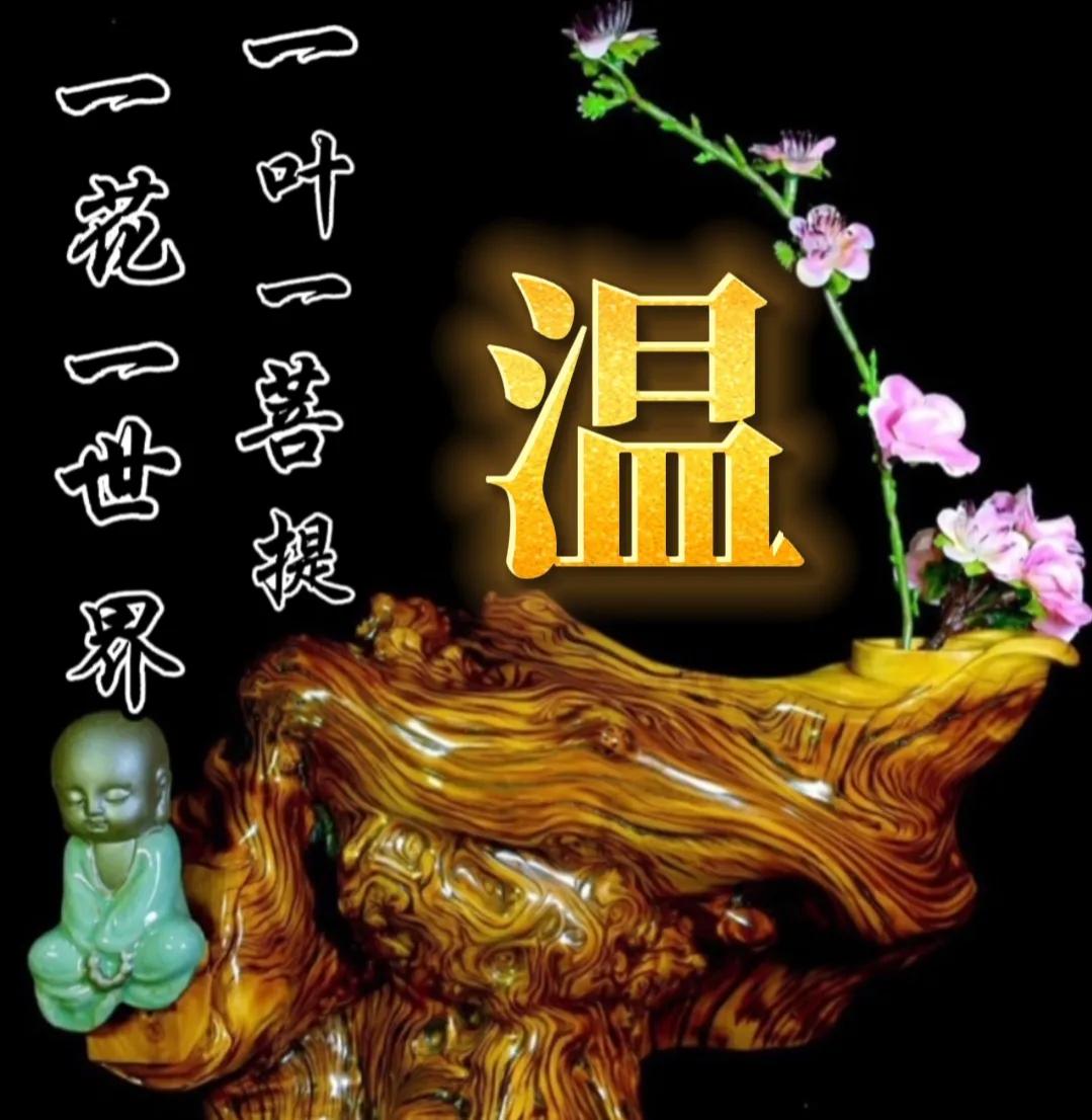 一花一世界一叶一菩提头像,一叶一菩提禅意微信头像