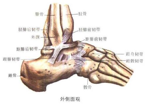 疫情期间运动员训练,疫情期间田径怎么恢复训练