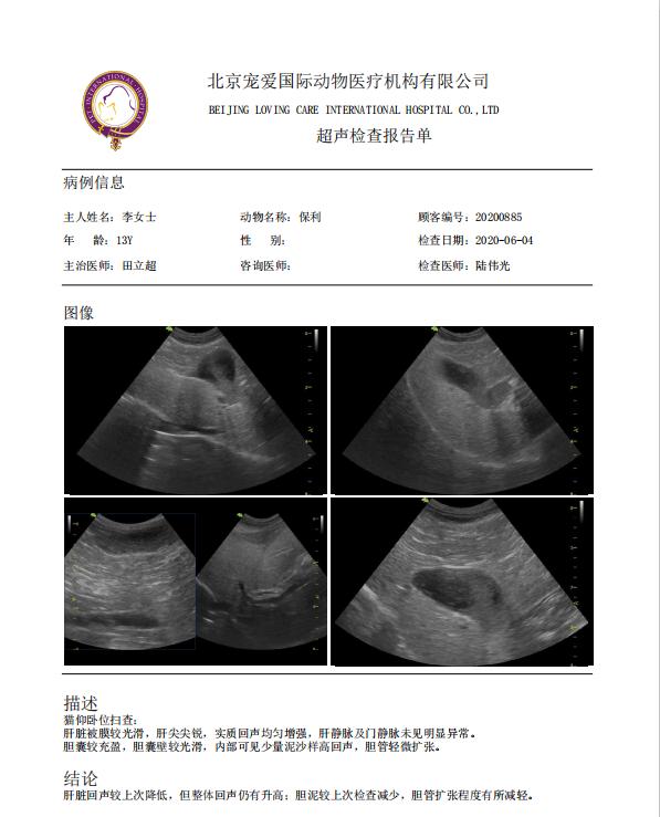 猫咪脂肪肝黄疸的真实经历,猫咪脂肪肝在家治疗方法