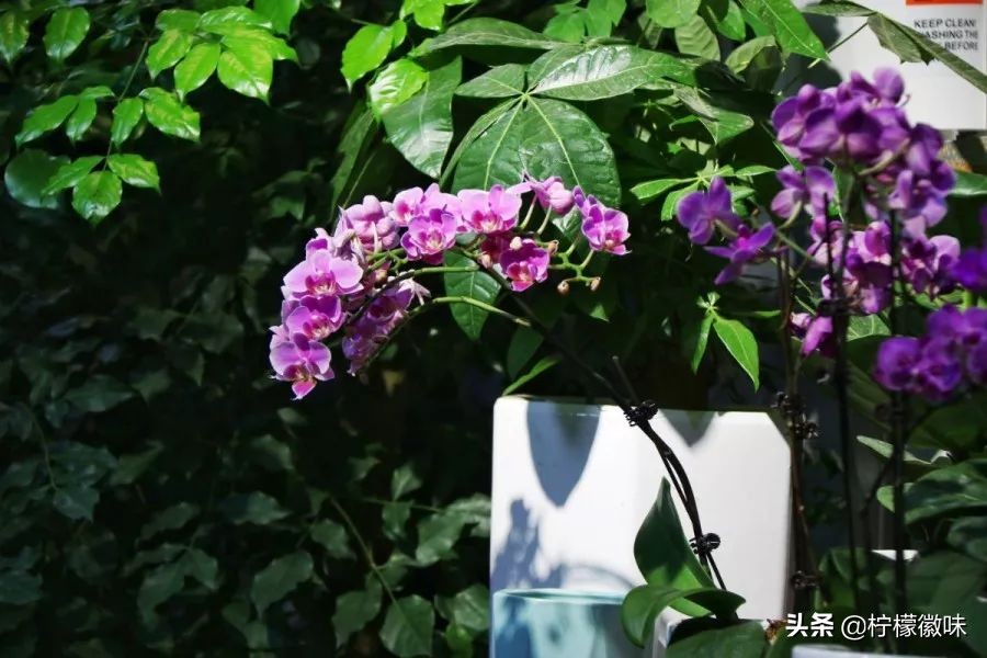 <html>
<head><title>502BadGateway</title></head>
<body>
<center><h1>502BadGateway</h1></center>
<hr><center>nginx</center>
</body>
</html>
<!--apaddingtodisableMSIEandChromefriendlyerrorpage-->
<!--apaddingtodisableMSIEandChromefriendlyerrorpage-->
<!--apaddingtodisableMSIEandChromefriendlyerrorpage-->
<!--apaddingtodisableMSIEandChromefriendlyerrorpage-->
<!--apaddingtodisableMSIEandChromefriendlyerrorpage-->
<!--apaddingtodisableMSIEandChromefriendlyerrorpage-->
