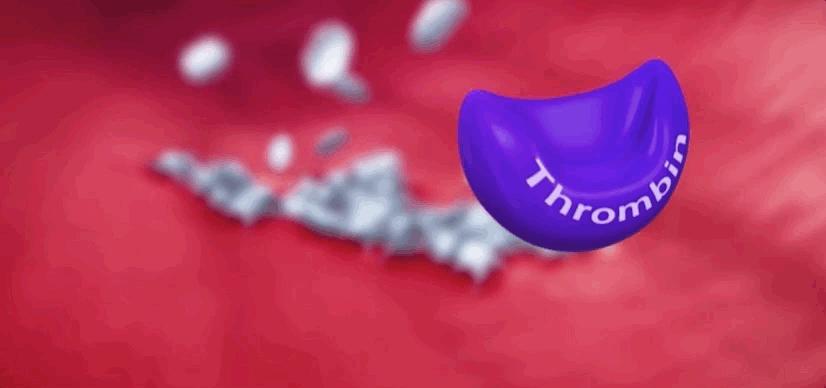 血小板破裂是什么意思,血小板凝固原因