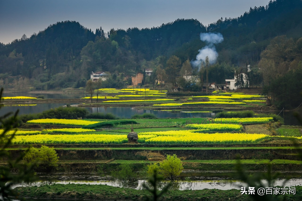 河南陇西李氏家族祖籍哪里,李氏祖籍临洮还是陇西人吗
