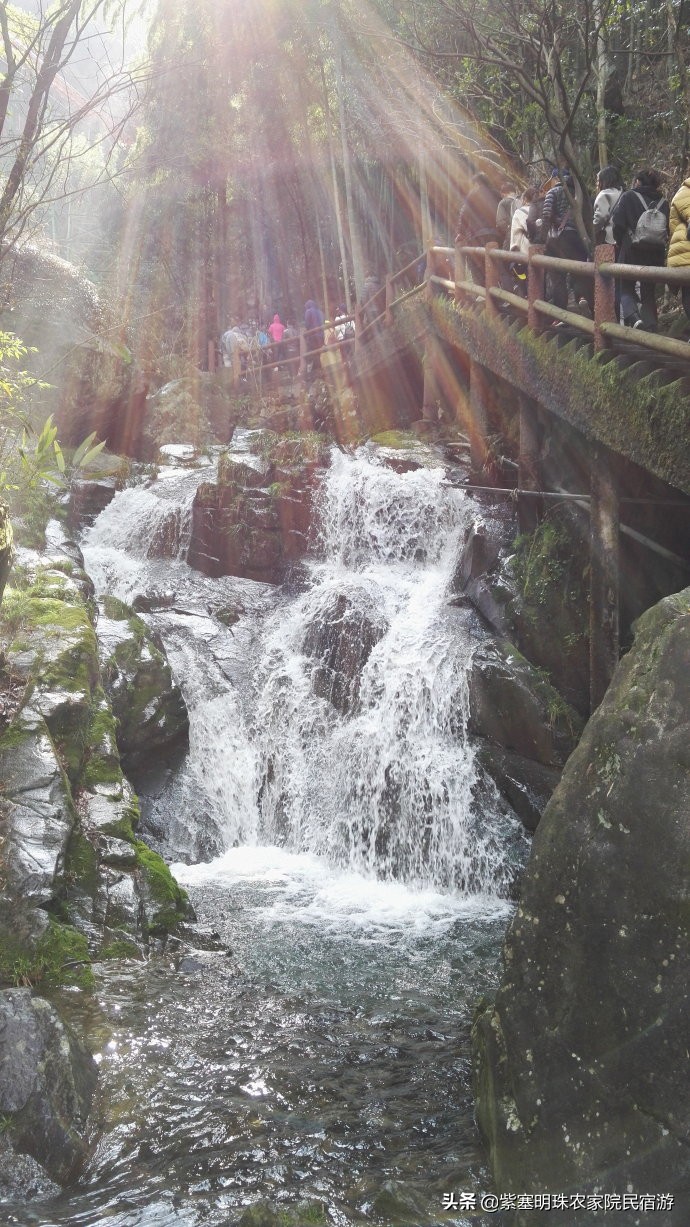 安吉藏龙百瀑山庄,浙江安吉藏龙百瀑民宿推荐