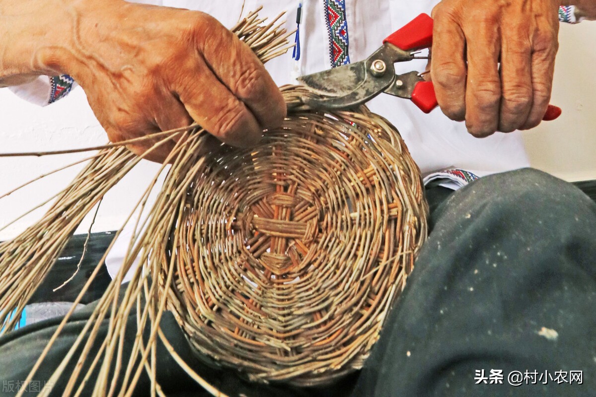 农村创业致富门路有哪些,返乡创业新农人有哪些创业项目