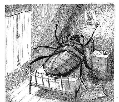 变形记找回自己,变形记开始抚慰年少轻狂的伤痛