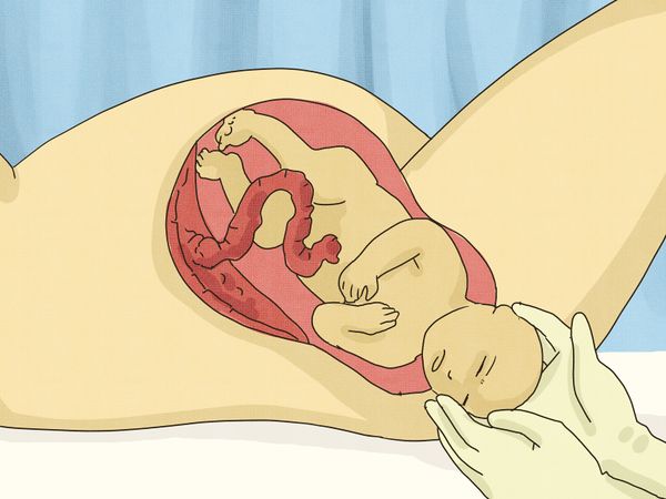 怎么回答小朋友我是从哪里来的,如何回答宝宝我是从哪里来的