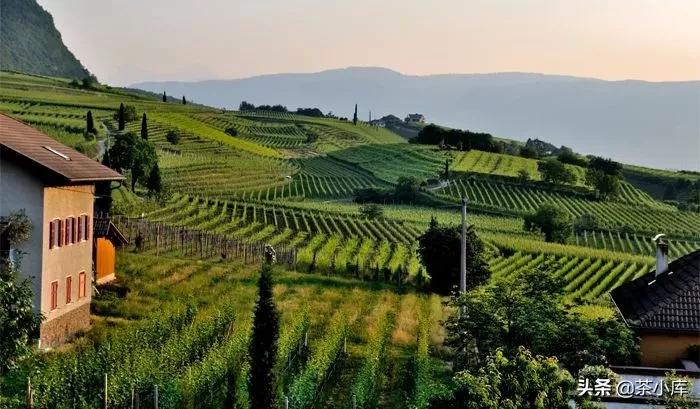 中国县城现状,中国县城的状况令人感慨