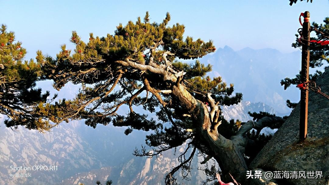 华山一日游登山路线攻略图高清版,华山一日游详细路线攻略