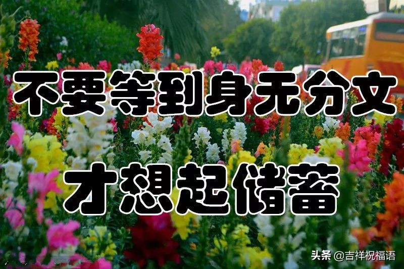 几句话送给未来的自己,几句话送给年轻的你们