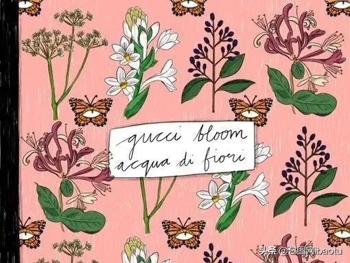 gucci插画师 (被gucci 聘为御用插画师)