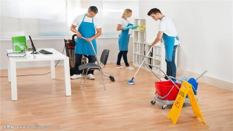 如何有效的治理跳蚤,教你6招彻底消灭跳蚤