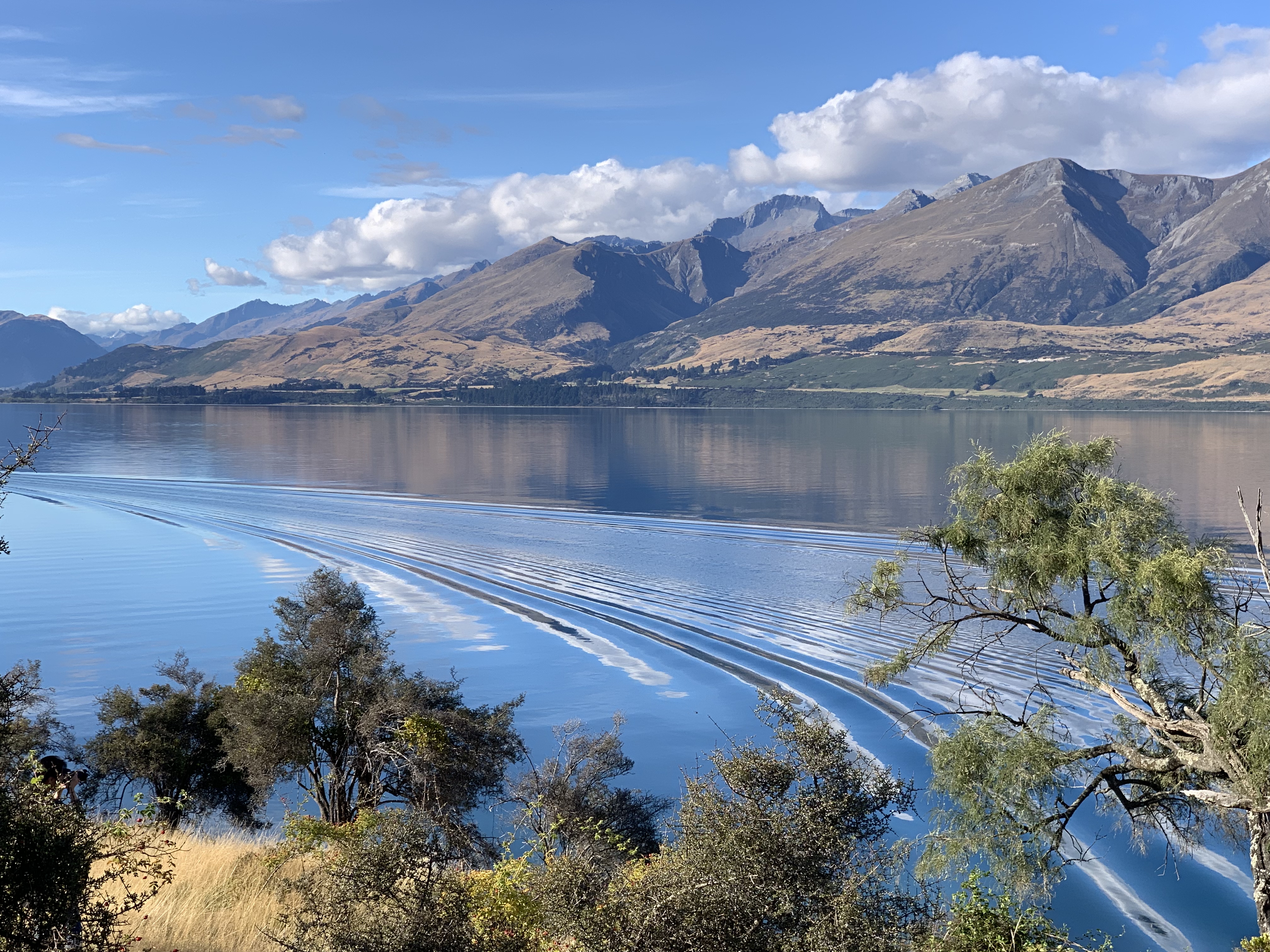 生活在新西兰有多幸福,生活在童话里的国家